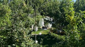 Красивое лето: дни рождения, природа, прогулки, Суперкубок, пироги | Волгоград