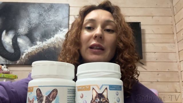 БОБКЭТ, КОШКИ и МИНИПИГ РАННИМ УТРОМ / Завели попугая