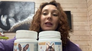 БОБКЭТ, КОШКИ и МИНИПИГ РАННИМ УТРОМ / Завели попугая