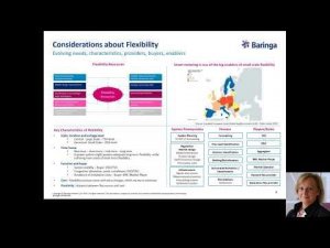 Webinar: Enabling power market access for small scale flexibility providers