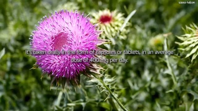 DANGER! THESE SYMPTOMS INDICATE THAT THERE IS SOMETHING WRONG WITH YOUR LIVER смотреть онлайн