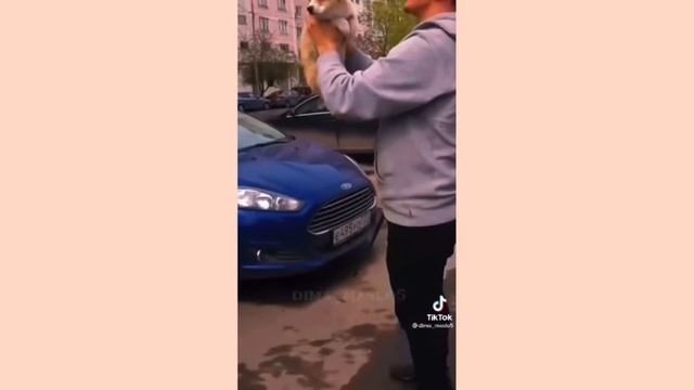 #димамасленников#масленников#рекомендации#подпишись#популярное#топ#милоевидео#ghost#ghostbuster