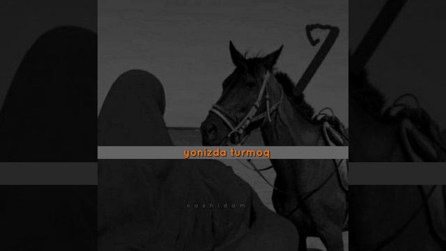 Nasib qilmadi dunyoda ko'rmoq @nashidam_zh @nashidauz1303 #nashidam #nashida #nashidalar смотреть онлайн