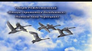 Птицы спрятаться догадаются (читает Анна Чернецкая)