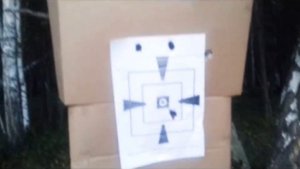 Пристрелка мр-94 тайга с глаДкого ствола.