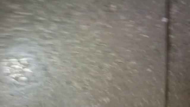 Aurum Cantus M 102 + Consonance AMP 150 + истинный север ч. 2 смотреть онлайн