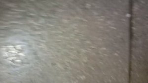 Aurum Cantus M 102 + Consonance AMP 150 + истинный север ч. 2