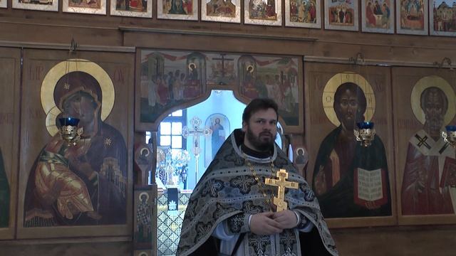 АНТРОПОМОРФИЗМ БЕСПЛОДНОЙ СМОКОВНИЦЫ смотреть онлайн