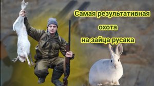 3 ЗАЙЦА ЗА ОХОТУ!!! Самый результативный охотничий день.