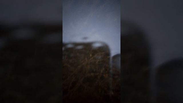 Перволед 2018. Прозрачный лед смотреть онлайн