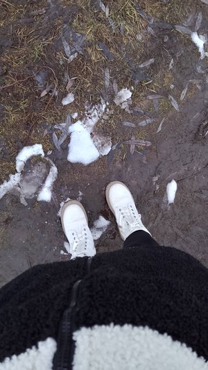 Svetlana Sorokina Будничный блог 02 12 2024