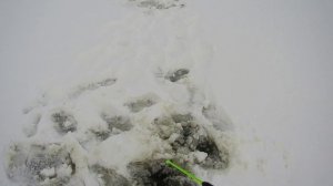 Первый лёд 2024-2025. Ловля окуня и щуки