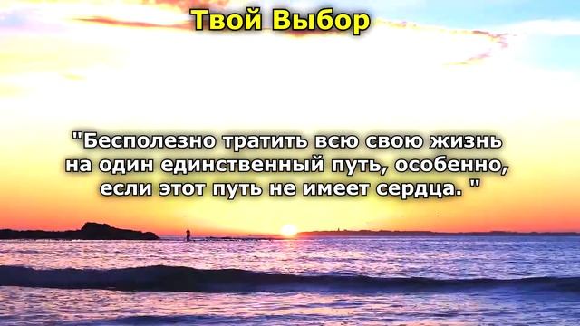 Подборка цитат про любовь. Высказывания великих людей о любви и верности. Цитаты о любви