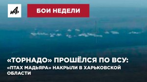 «Торнадо» прошёлся по ВСУ: «Птах Мадьяра» накрыли в Харьковской области