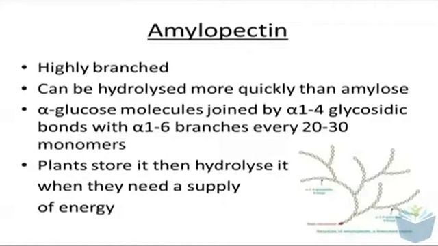 Carbohydrates [3]_ Polysaccharides (High band Biology).mp4 смотреть онлайн