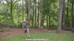 Аккумуляторный высоторез Greenworks GC82PS
