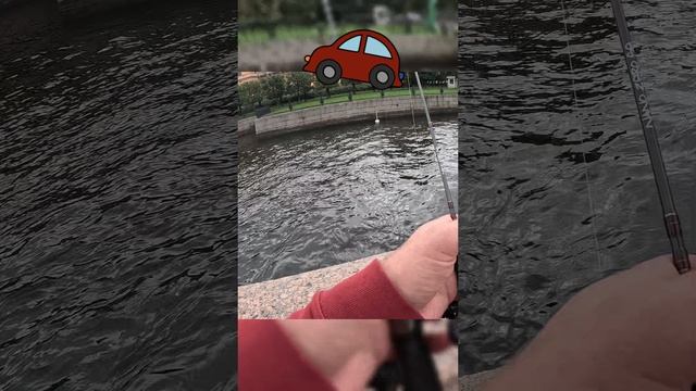 Пока оплачивал парковку клюнул #окунь 😁 #fishing #рыбалка #микроджиг #питер #shorts