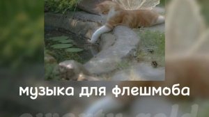 музыка для флешмоба||песни с тт||speed songs