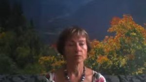 Елена Яньшина  Отзыв на консультации Антона Зубцова