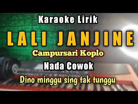 LALI JANJINE Karaoke koplo Campursari nada cowok - Dino minggu sing tak tunggu karaoke смотреть онлайн
