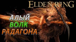 АЛЫЙ ВОЛК РАДАГОНА! В СОЛО БЕЗ БАФФОВ! ELDEN RING