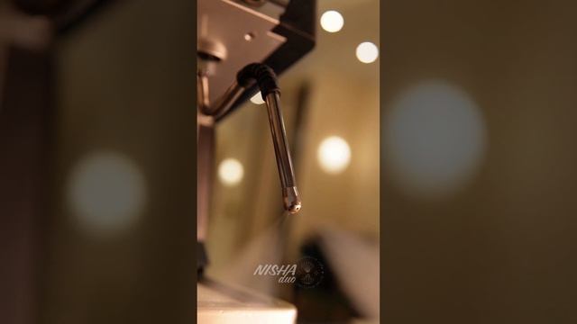 Любой день можно сделать идеальным, если добавить прогулку с любимым кофе