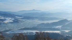 1 декабря 2024 г. Прогулка на Лысыху.