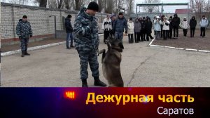 Дежурная часть- Саратов - 02-12-2024