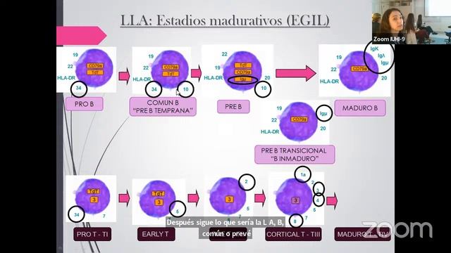 Ateneo de Laboratorio - Citometría de Flujo смотреть онлайн