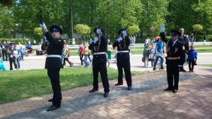 Троекратные оружейные залпы, посвященные Дню Победы