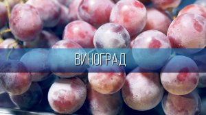 Акустическая заморозка от фирмы "Abat" замораживание ягод и фруктов
