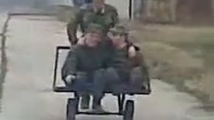 Разветчики