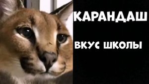 Ты съел: | Грустные Лица Шлёпы #оживляюмемпрошлепу