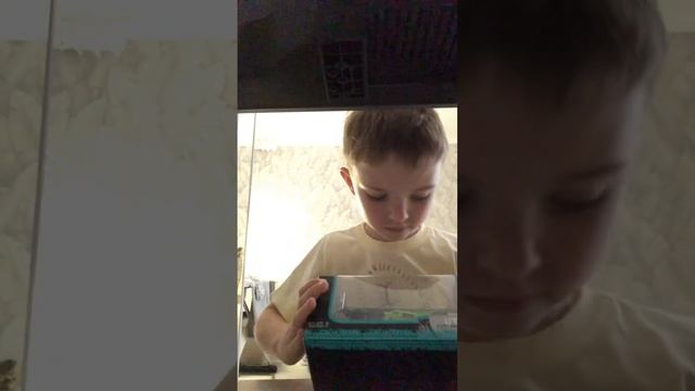 #ozon #standoff2 #бит #рекомендацииyoutube #хит #рекомендации #крутой #лайк новая ламба 🎃 смотреть онлайн