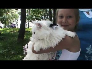 Кис-парад. Николаевск-на-Амуре. 2015 год