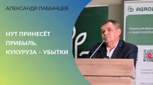 Нут принесёт прибыль, кукуруза – убытки | Александр Лабынцев о рентабельности культур в 2025 году