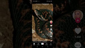 самые опасные вещества для человека