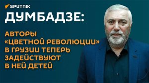 Думбадзе: в новой попытке революции в Грузии запад задействует детей