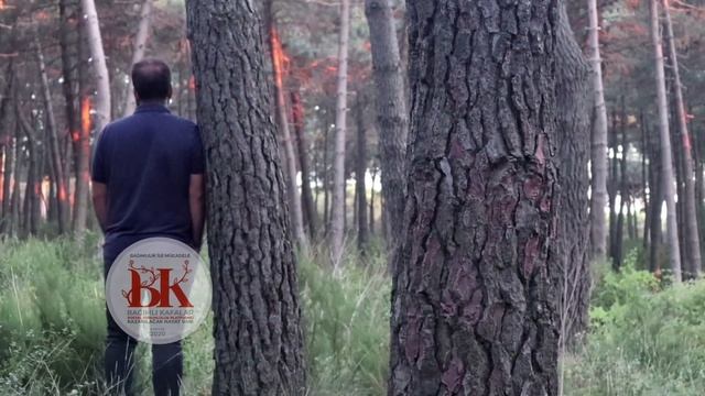 Kumarda 4 Ayda 1 milyon Kaybeden adam . #röportaj #kumar смотреть онлайн