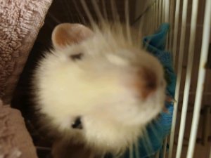 помагаю маме по дому + игра+хз