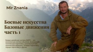 Боевые искусства. Базовые упражнения