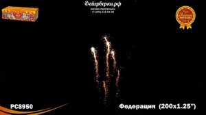 РС8950: Федерация
