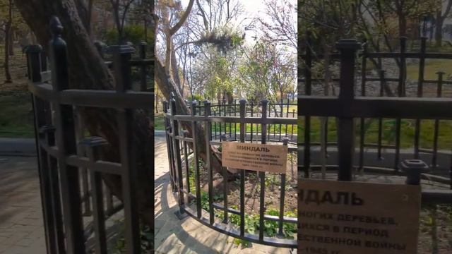 МАЛАХОВ КУРГАН. История Севастополя #крым #севастополь #малаховкурган смотреть онлайн