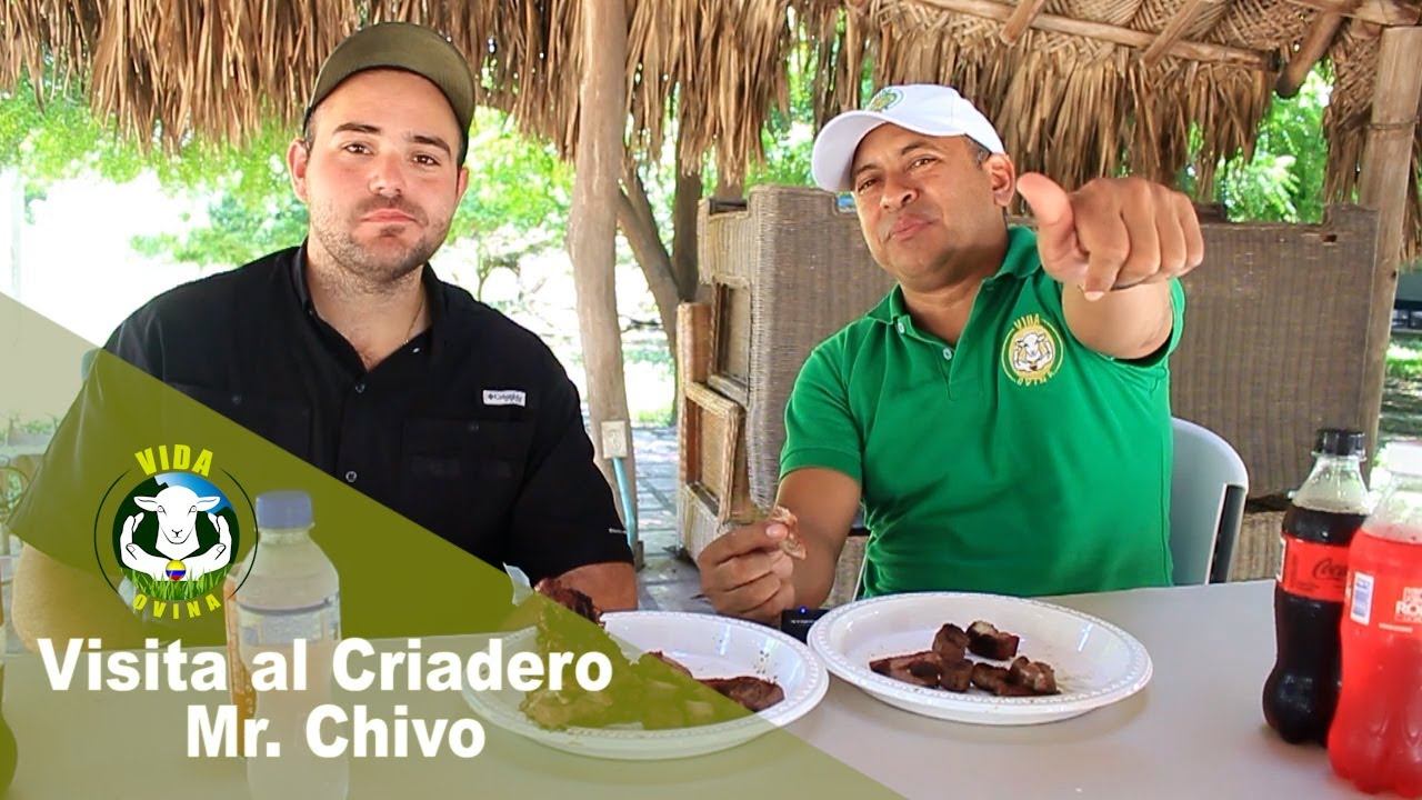 VIDA OVINA TV. 38 Visita Mr. Chivo смотреть онлайн