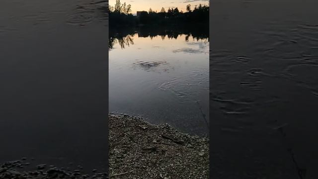 Delphin Paranoya, Inox 80, Tokyo - rýchly lov. смотреть онлайн