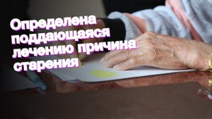 Определена поддающаяся лечению причина старения