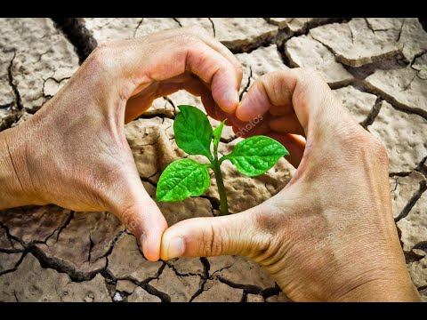 Формирование жизнестойкости и позитивного мышления личности Ч.2.2