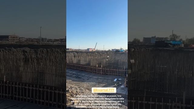 СЕГОДНЯ БУДЕМ ОБОГАЩАТЬ 🥰 НАШ САД ПЛОДОВЫМИ ДЕРЕВЬЯМИ ☺️