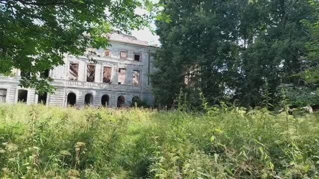 Заросший парк с прудом заброшенной дворянской усадьбы Полторацких.  д.Грузины. часть 3.