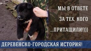 🐕Пес Малыш. Душевная история деревенской дворняги.